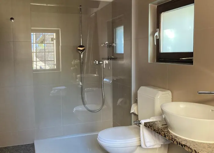 Rustico Lucy Chalet Gordola